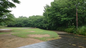 梅雨のさくら公園４